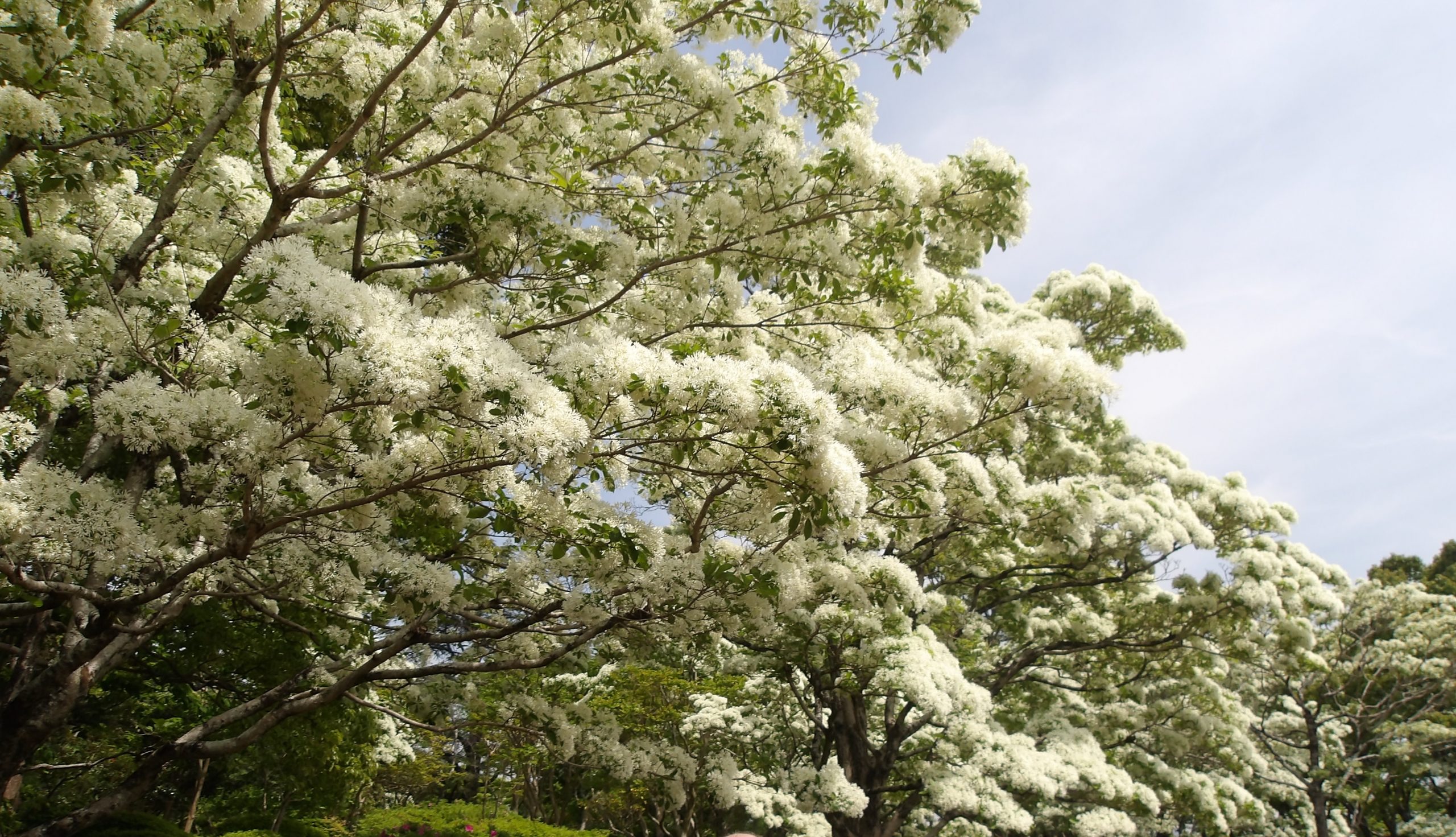 ４月２８日（月）城北公園までドライブ＆散策に行きました～🚗