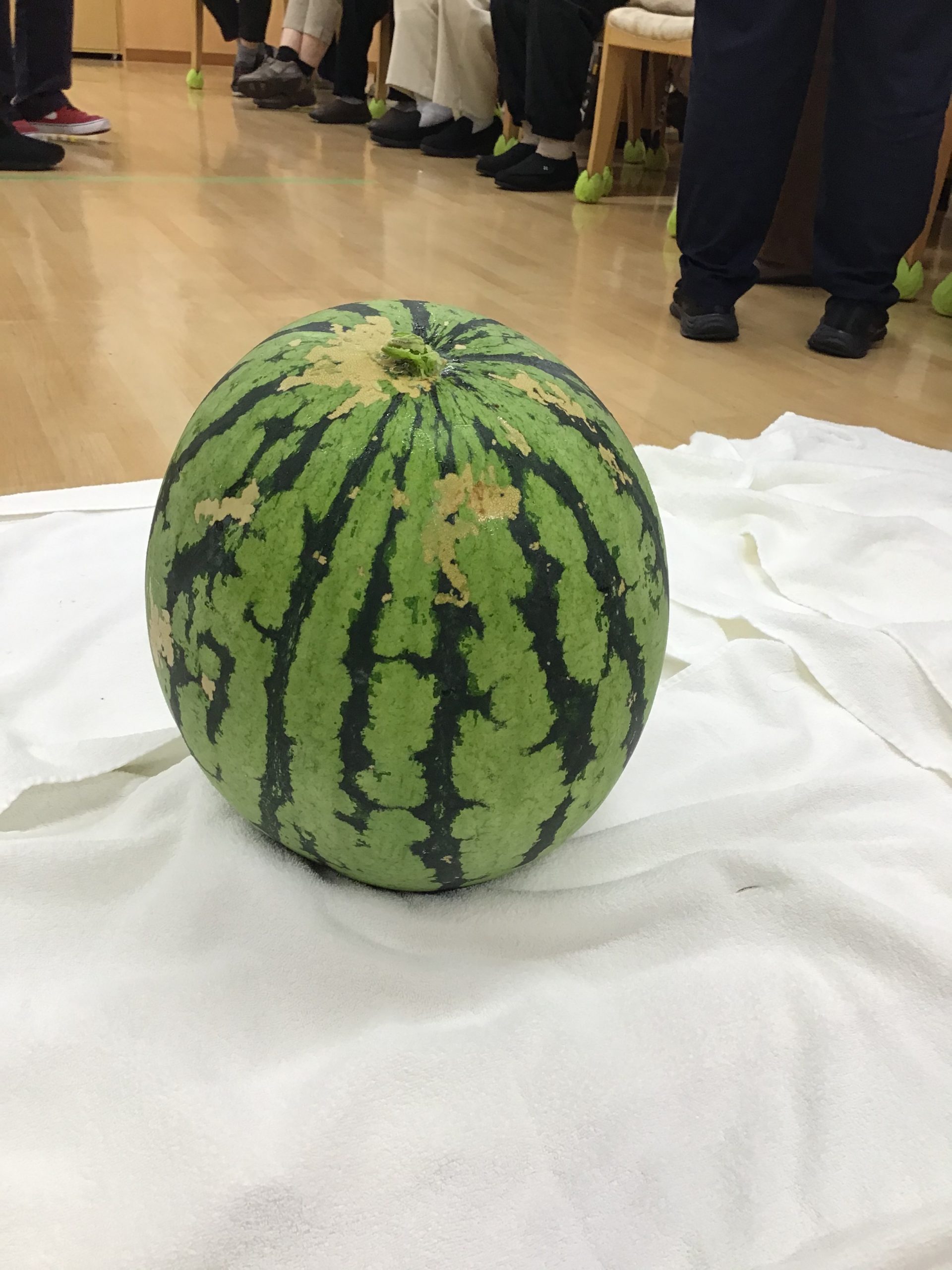 🍉スイカ割り②🍉