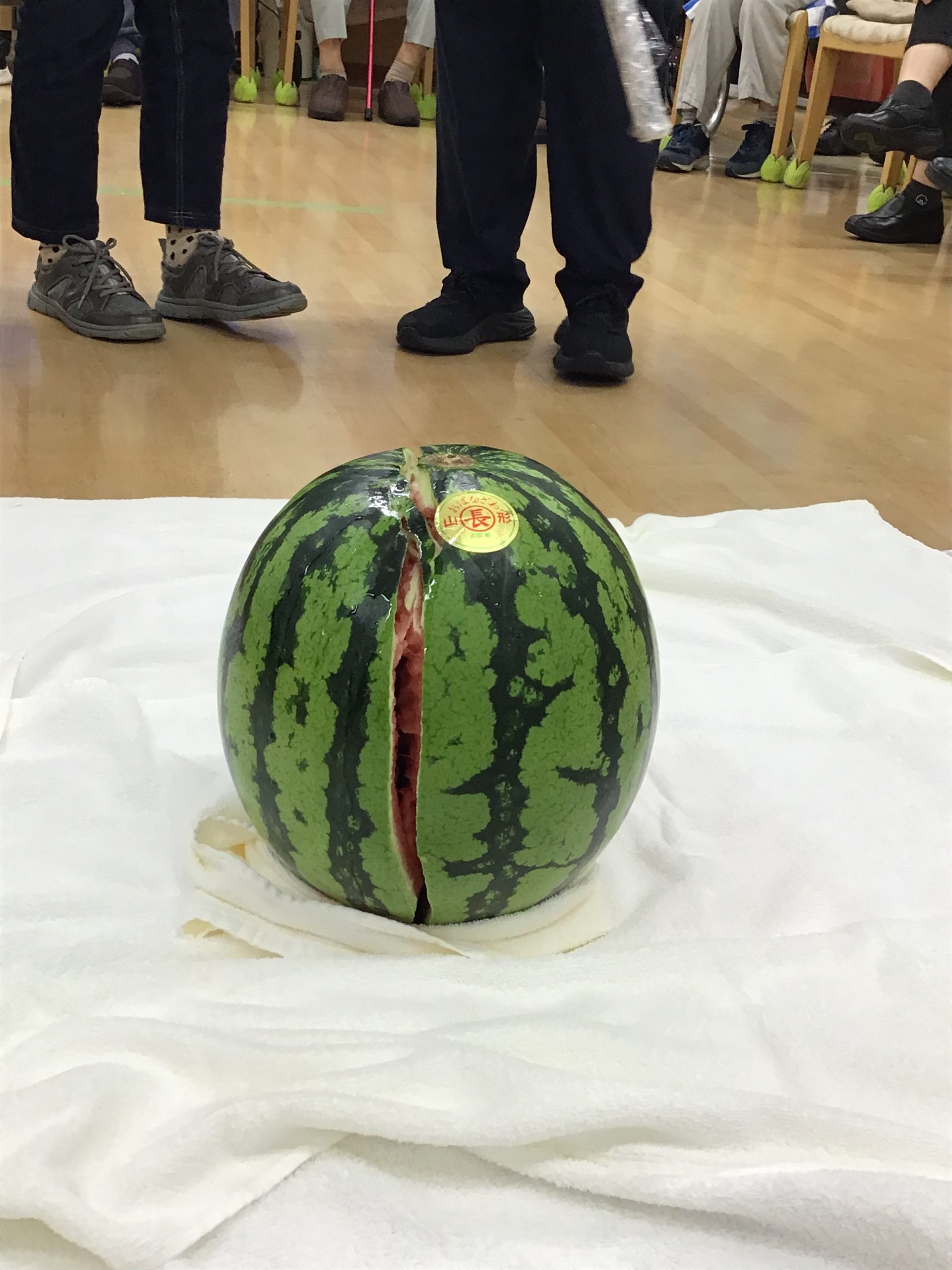 🍉おまつり【スイカ割り】🍉