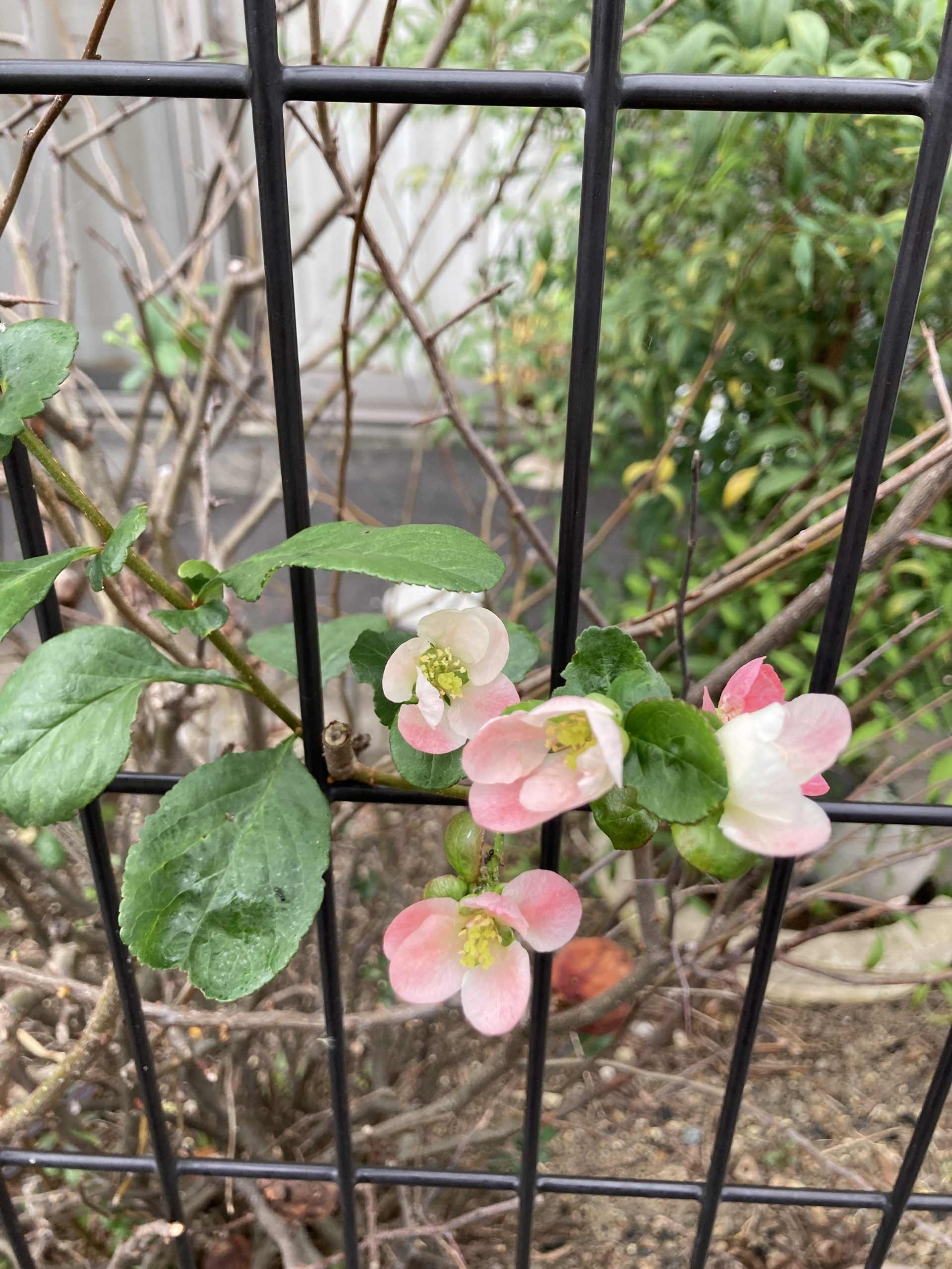 11月11日は介護の日　💛💛💛