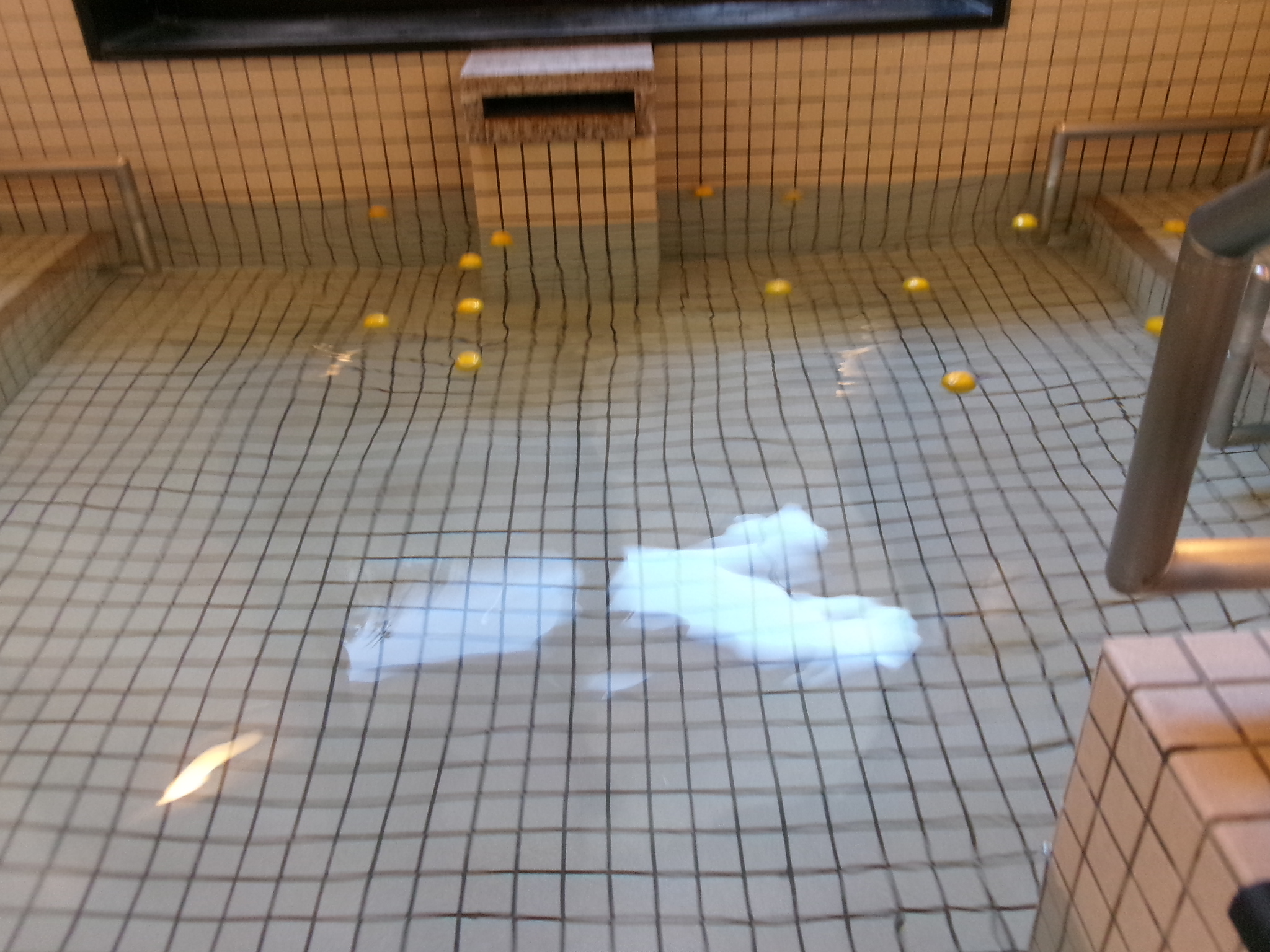 ゆず湯に入りました！！