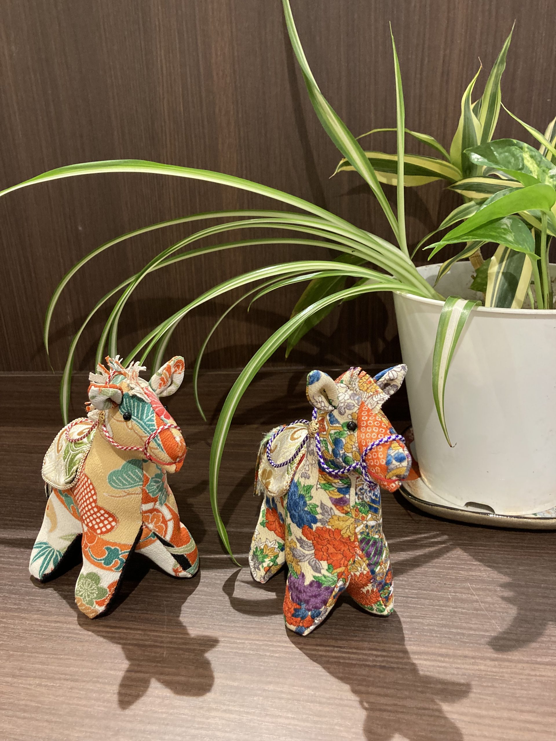 🍵ケアマネのちょっとした独り言