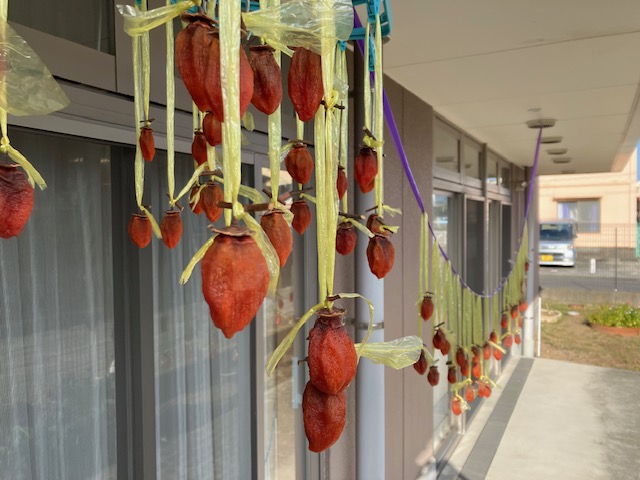 干し柿はじめました