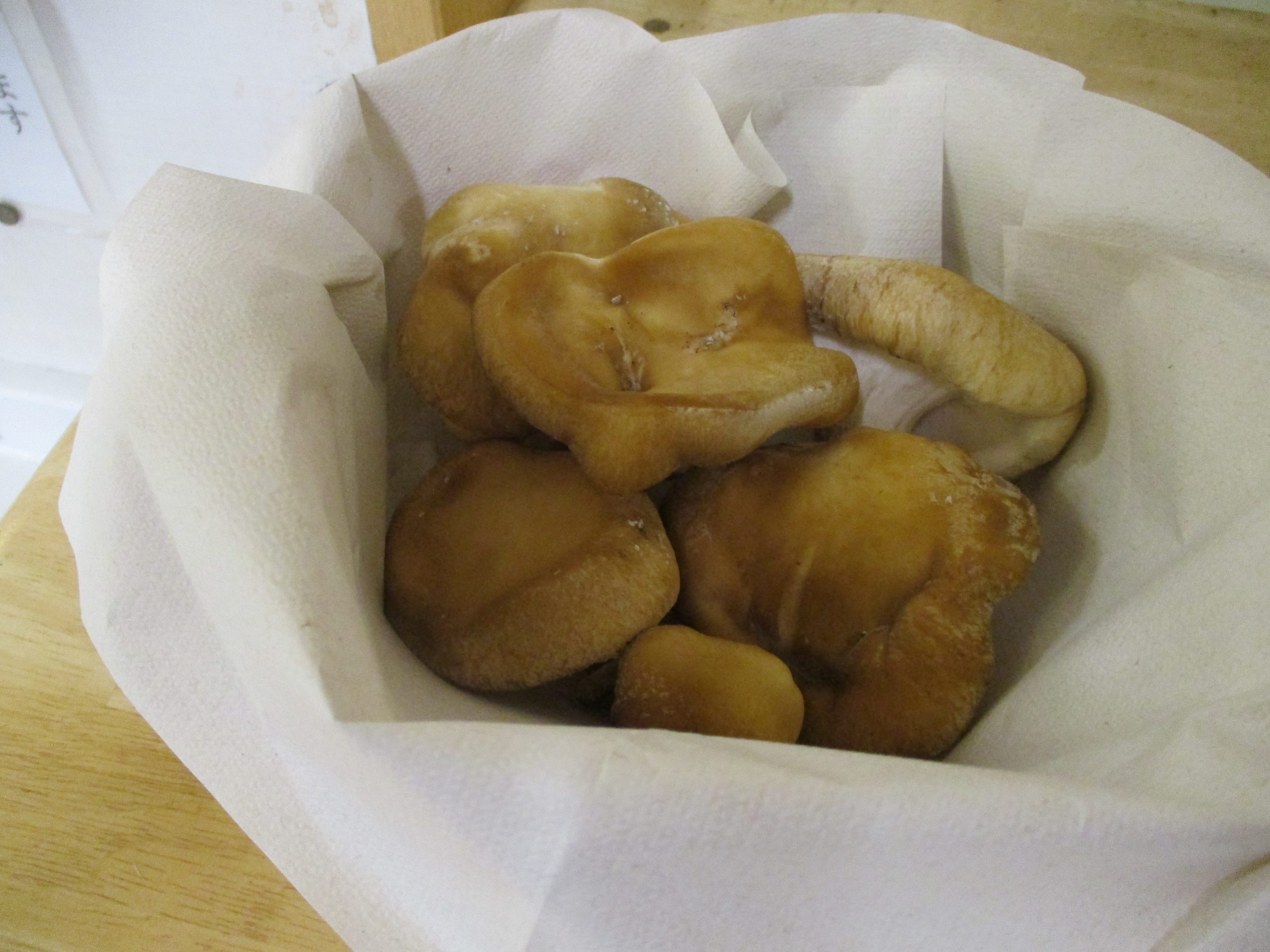 椎茸が欲しいダケ🍄