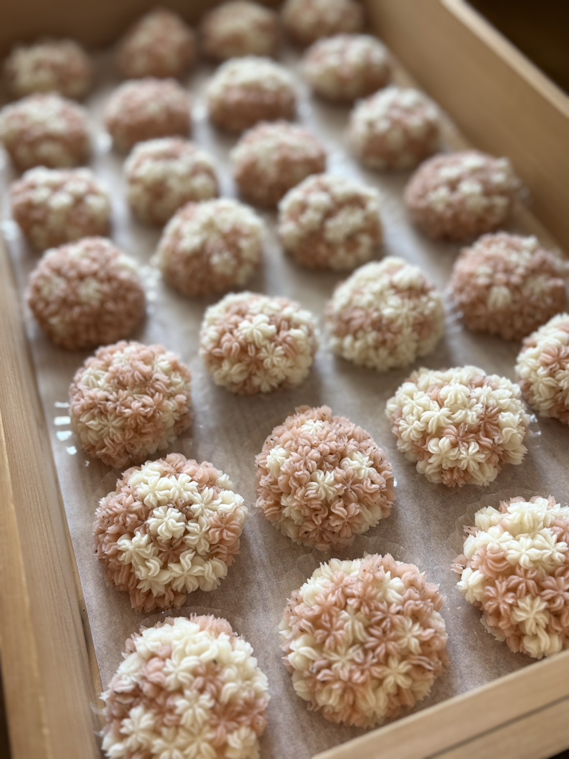 🌸桜のおはぎ🌸