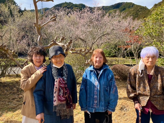 洞慶院で梅の花見レポート