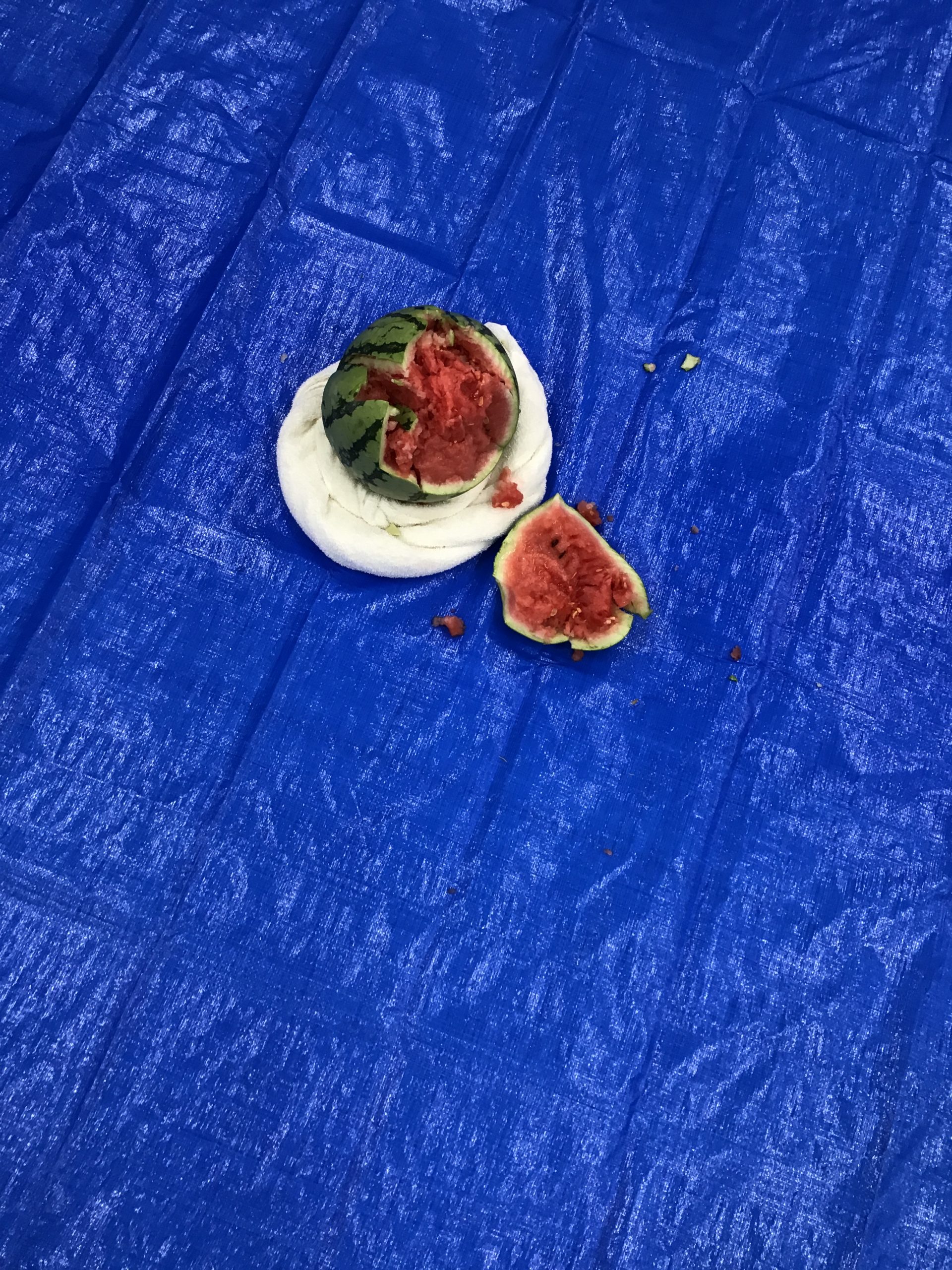 🍉スイカ割り大会①🍉